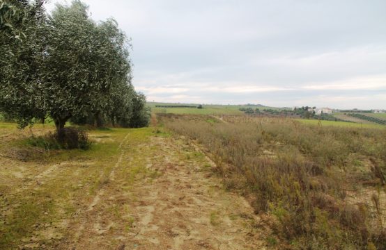 For Sale &#8211; Land  m²