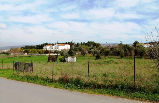 For Sale &#8211; Land 2009 m²