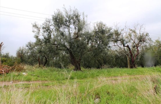 For Sale &#8211; Land 3678 m²