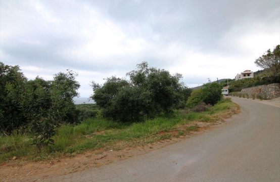 For Sale &#8211; Land 3000 m²