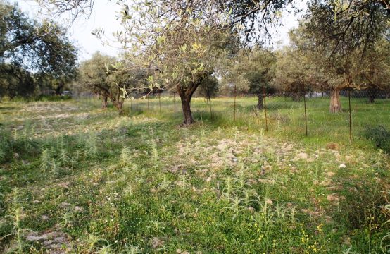 For Sale &#8211; Land 4000 m²