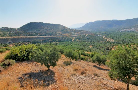 For Sale &#8211; Land 16800 m²