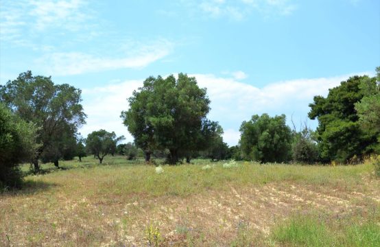 For Sale &#8211; Land  m²