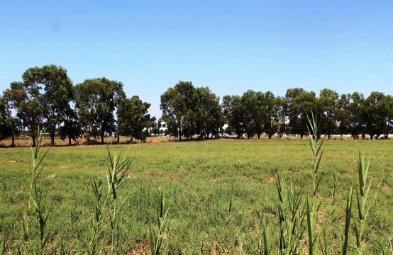 For Sale &#8211; Land 11000 m²