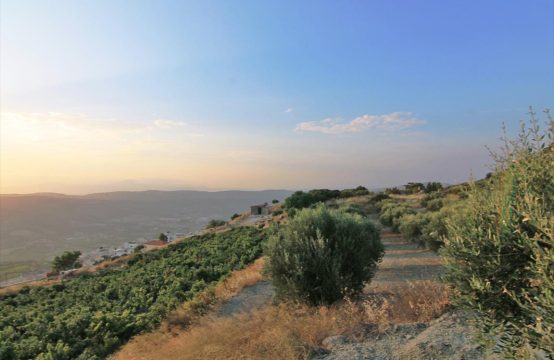 For Sale &#8211; Land 2600 m²