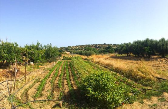 For Sale &#8211; Land 270 m²