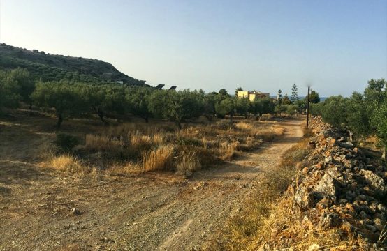 For Sale &#8211; Land 2000 m²