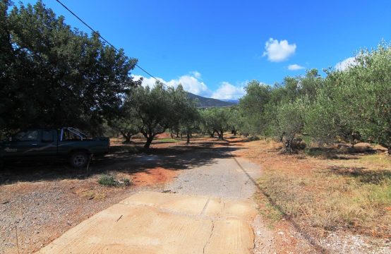 For Sale &#8211; Land 7800 m²