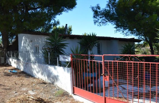 For Sale &#8211; Detached house 40 m²