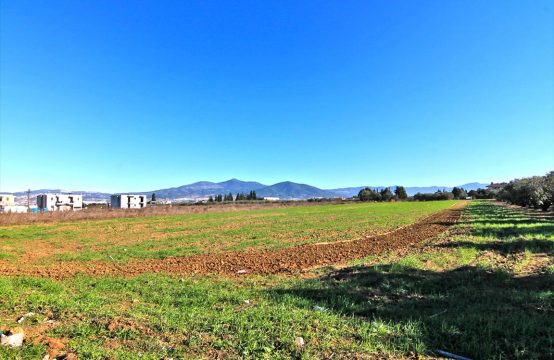 For Sale &#8211; Land 12750 m²