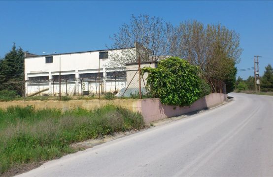 For Sale &#8211; Business 660 m²