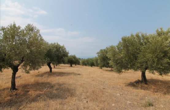 For Sale &#8211; Land 4523 m²