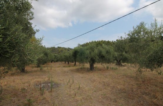 For Sale &#8211; Land 726 m²