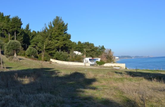 Arsa 8000 m² Kassandra’da (Chalkidiki)