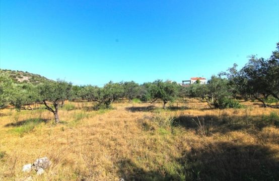 For Sale &#8211; Land  m²