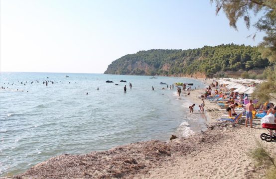 Arsa 4000 m² Kassandra’da (Chalkidiki)