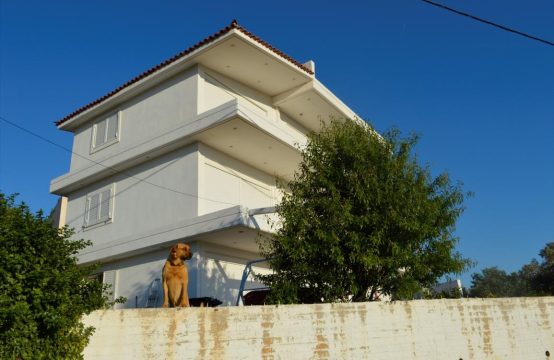 For Sale &#8211; Detached house 300 m²