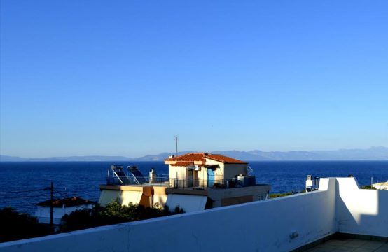 For Sale &#8211; Detached house 310 m²