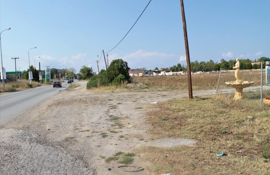 Arsa 5500 m² Kassandra’da (Chalkidiki)