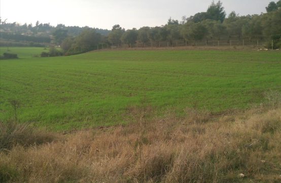 For Sale &#8211; Land 8000 m²