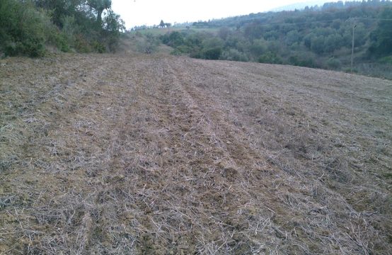 For Sale &#8211; Land 7300 m²