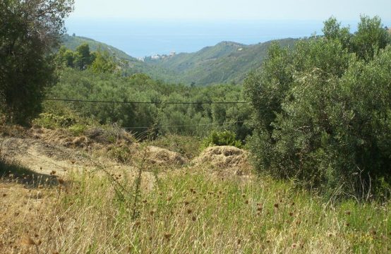 For Sale &#8211; Land 1033 m²