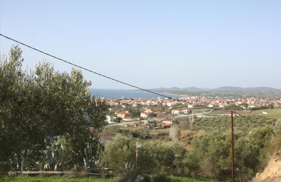 Arsa 9367 m² Sithonia’da (Chalkidiki)