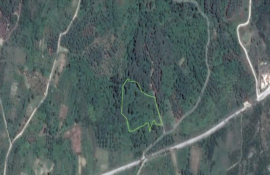 For Sale &#8211; Land 6000 m²