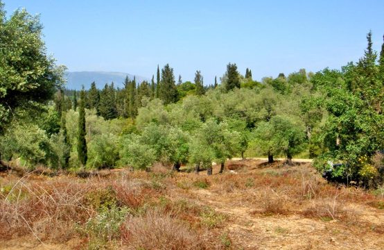 Arsa Korfu’da