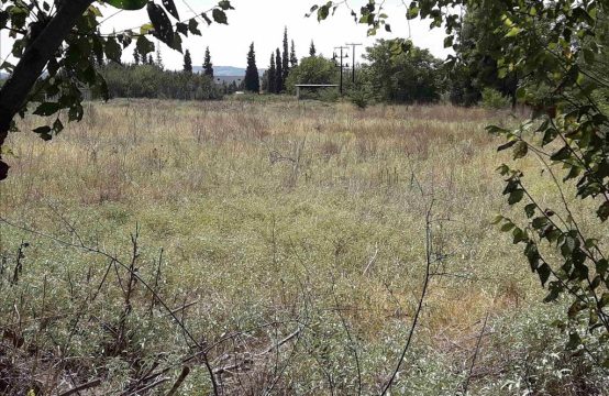 For Sale &#8211; Land  m²