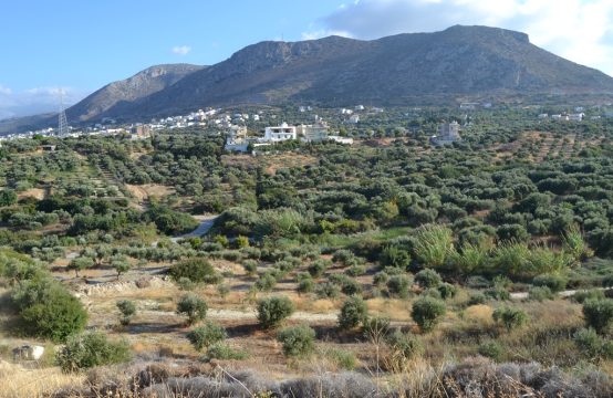 For Sale &#8211; Land 25000 m²