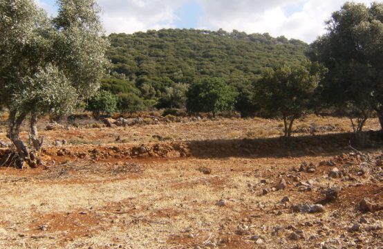 For Sale &#8211; Land 31430 m²