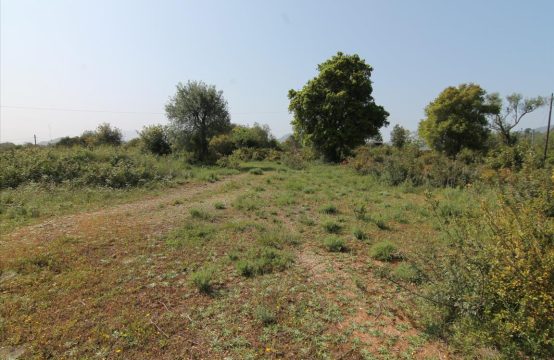 For Sale &#8211; Land  m²