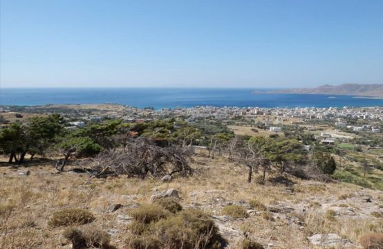 For Sale &#8211; Land 42000 m²