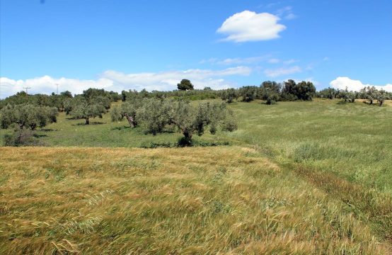 For Sale &#8211; Land 8932 m²