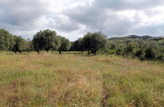 For Sale &#8211; Land 2700 m²