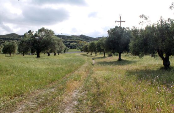 For Sale &#8211; Land 5500 m²