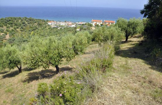 For Sale &#8211; Land 3750 m²