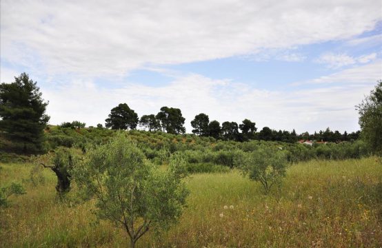 For Sale &#8211; Land  m²