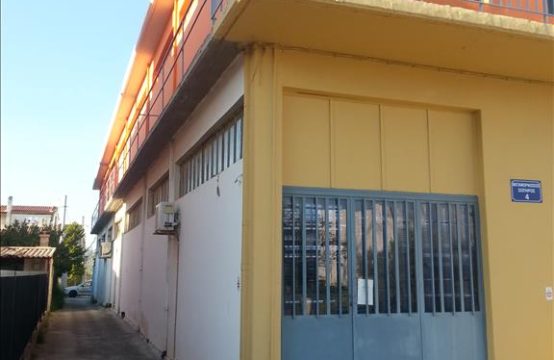 For Sale &#8211; Business 350 m²