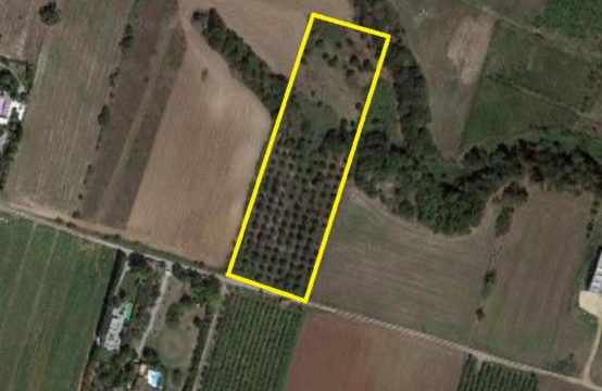 For Sale &#8211; Land  m²