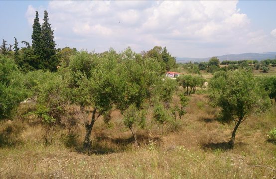 Arsa 15099 m² Sithonia’da (Chalkidiki)