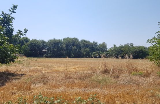 Arsa 7500 m² Kassandra’da (Chalkidiki)