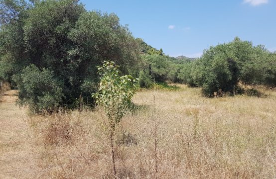 For Sale &#8211; Land  m²