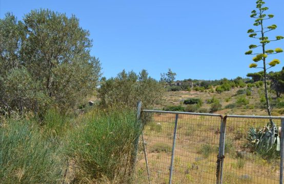 For Sale &#8211; Land 7700 m²