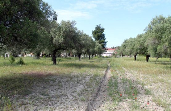 For Sale &#8211; Land 2900 m²