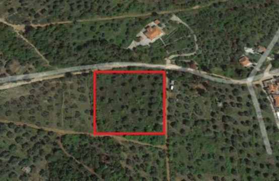 For Sale &#8211; Land  m²