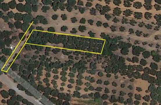 For Sale &#8211; Land  m²