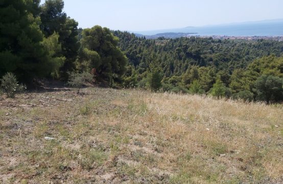 For Sale &#8211; Land 3000 m²