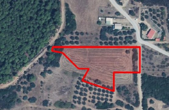 Arsa 4500 m² Athos’da (Chalkidiki)